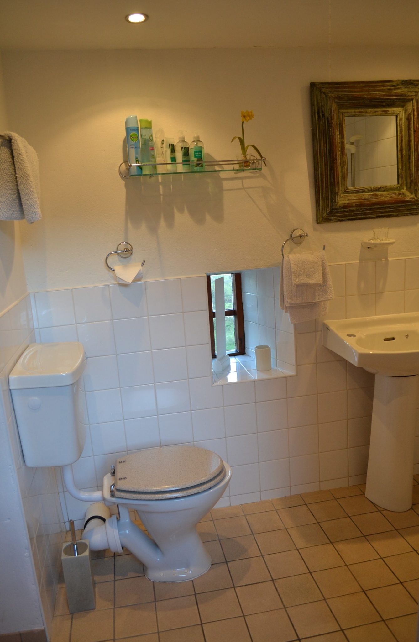 The Toilet with a View